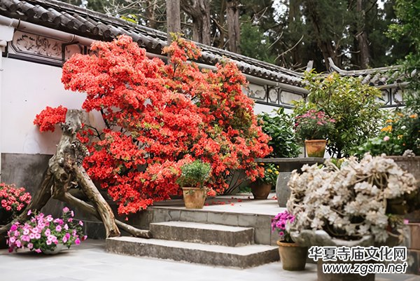 �Ї���������������O(sh��)���ֻ�N�������궼��ȥ����