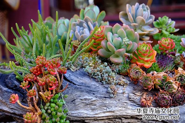 �Ї���������������O(sh��)���ֻ�N�������궼��ȥ����