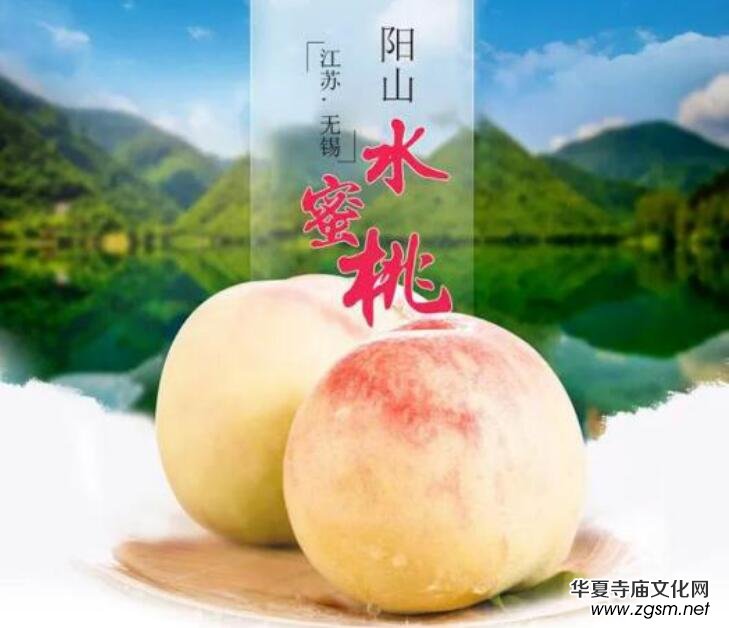 �(y��ng)ɽˮ���ҷNֲ���ء���ӛ��ꂥ�f���ڽ��c��������Y(ji��)��