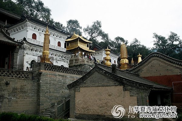 �������_ɽҎ(gu��)ģ���Ӱ���V Ҳ������ϵ���Ժ