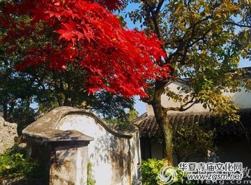 ���Է�������ʲô�F(xi��n)��������ƣ�v���w���Y(ji��)�׾���4����