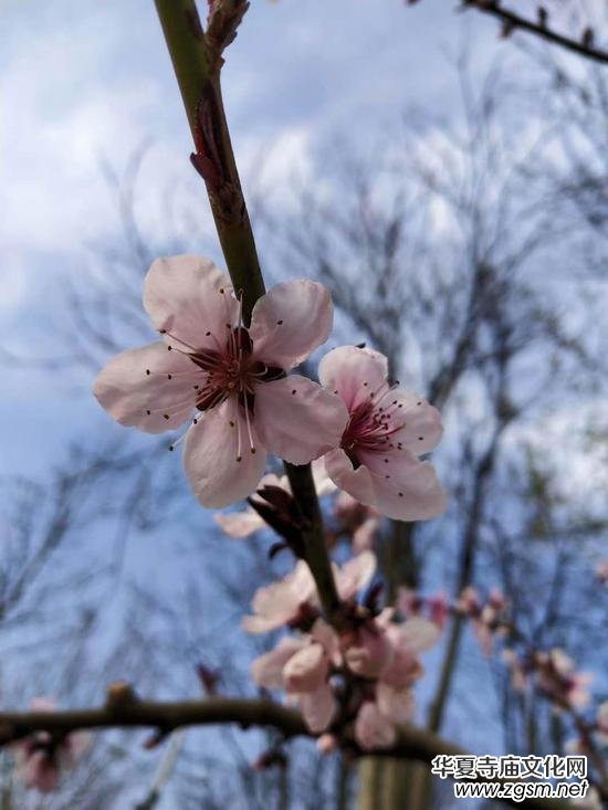 Ԕ���̽Y(ji��)�İ����ƶ�