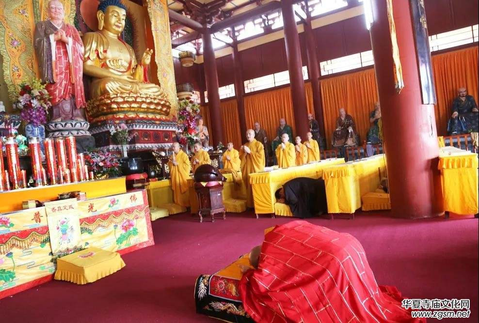 �����M���R��r���d�U��2020�����ʌ�����ʽ�_(k��i)��