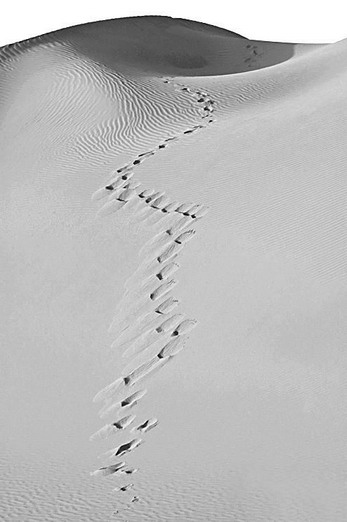 �z�I֮·(li��n)�����z�_(k��i)ʼ���_�̡�