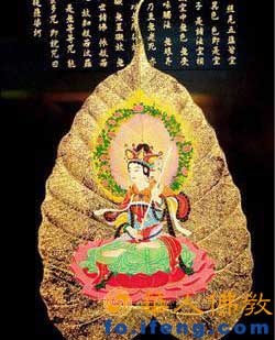 �������~�����_���������_��