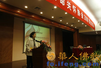 2008�Ї������P�хf���������`ɽՓ���o�a�e��