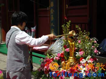 �ھ��n�S�V��(j��)�g��ԡ��(ji��)