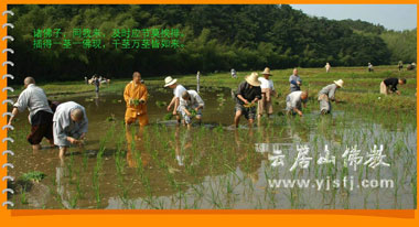 ����ʡ�ƾ�ɽ����U���e�С����¡����