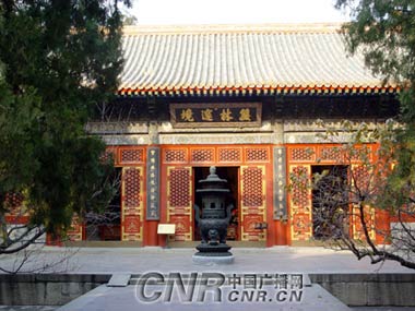 �����P�����޿����ܺ����ο��_��