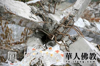 �ػر������������f���������f