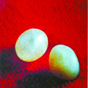 ��������ʮ����׬F(xi��n)���� �״β��ìF(xi��n)���Ƽ��ֶ�