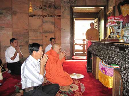 ��������һ֦��ɽ����һ�Ѕ��L�`���� ���ݷ�������