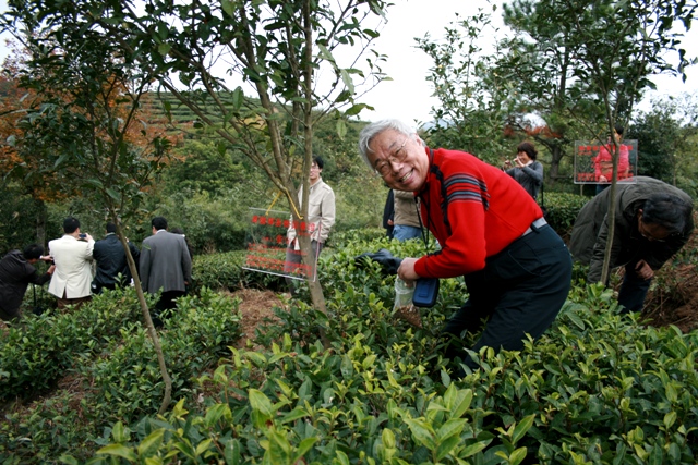 ȫ�����Ҳ��L(f��ng)�������J(r��n)�B(y��ng)�Y���U��