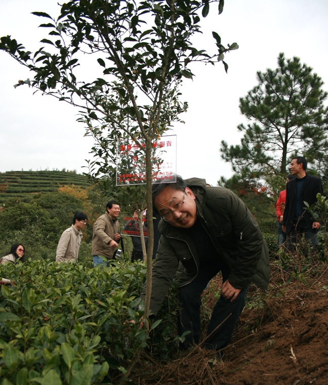 ȫ�����Ҳ��L(f��ng)�������J(r��n)�B(y��ng)�Y���U��