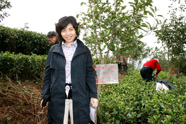 ȫ�����Ҳ��L(f��ng)�������J(r��n)�B(y��ng)�Y���U��