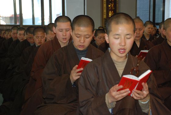 夢參老和尚回到五臺山 夢參老和尚回到五臺山