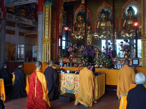 �B�T�����������������d�����_