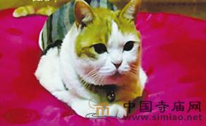 �n�����d����\؈��ÿ����S��𲻚���