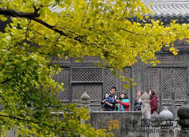 ���X�¡�2010��ɽ�y�ӹ�(ji��)��