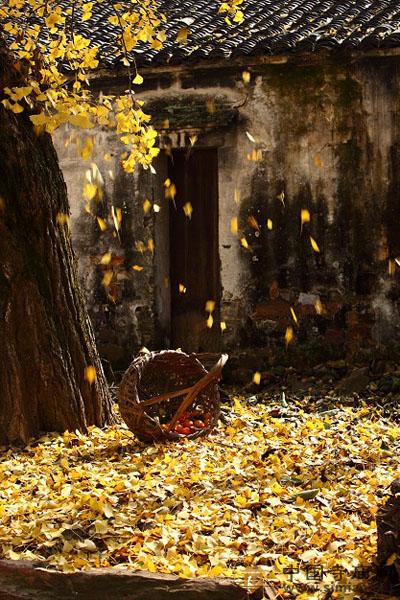 ���X�¡�2010��ɽ�y�ӹ�(ji��)��