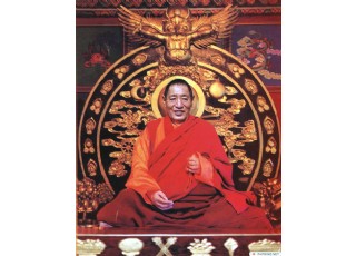 �����x������