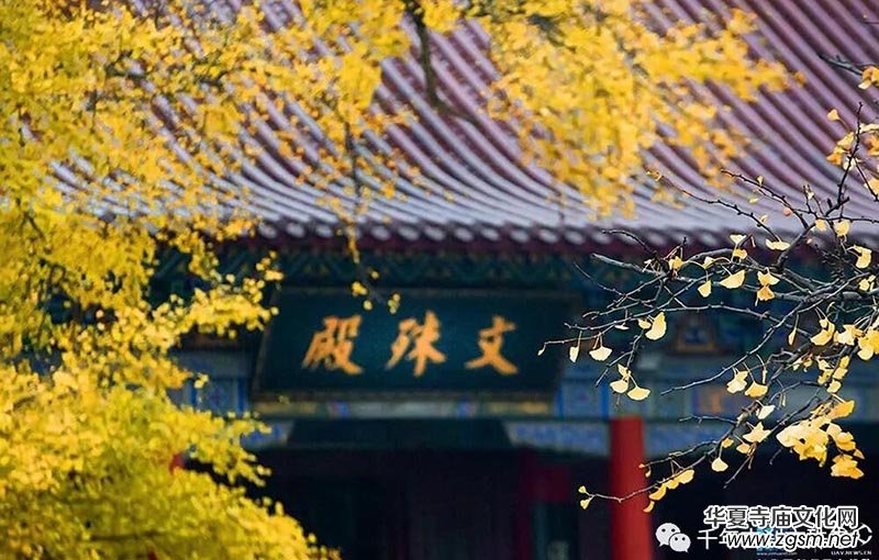 施舍的智慧 施舍的智慧