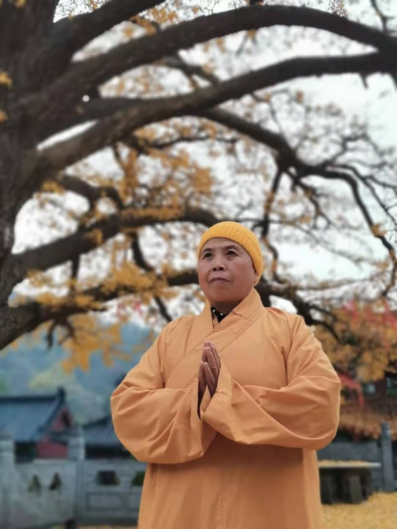 �ӡ������������o(j��)���(hu��)�ں�����ɽ�������e�k