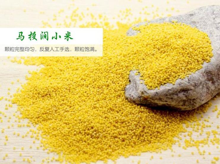 ���l(xi��ng)�ġ��RͶ��С�ס����S�P��