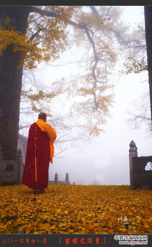 ǧ��ńx������ɽ������