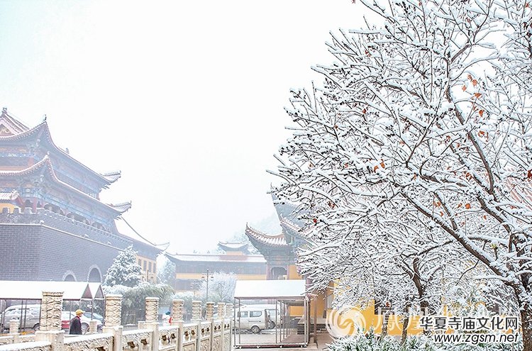 �������D��ѩ��Ĳ�ɽ���X�¸����f��(y��n)