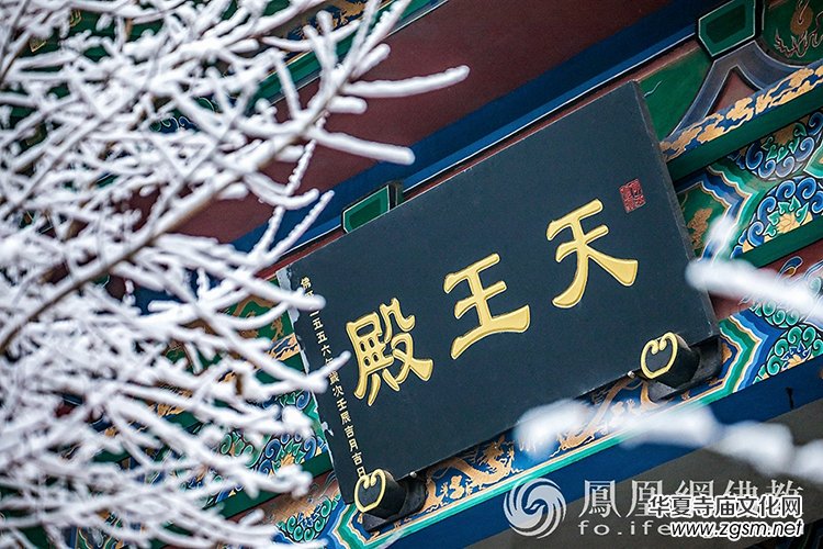 �������D��ѩ��Ĳ�ɽ���X�¸����f��(y��n)