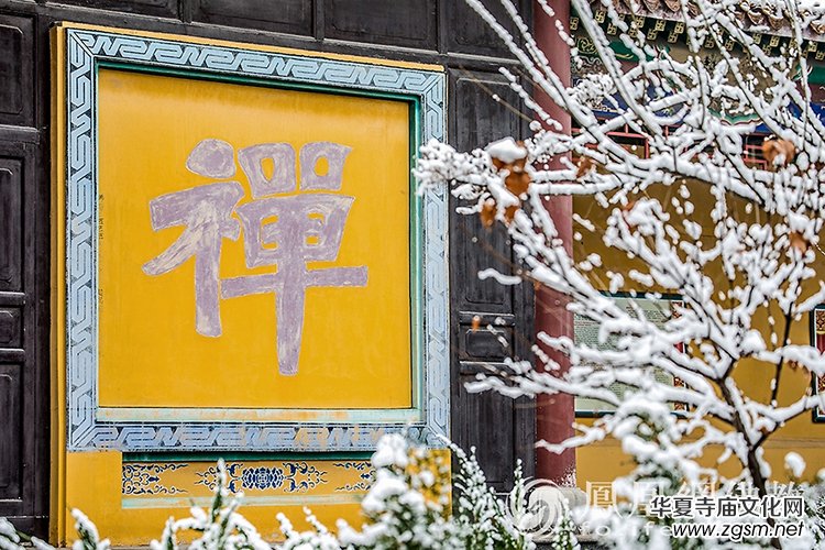 �������D��ѩ��Ĳ�ɽ���X�¸����f��(y��n)