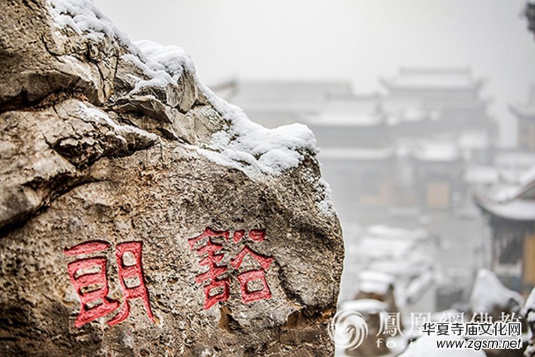 �������D��ѩ��Ĳ�ɽ���X�¸����f��(y��n)