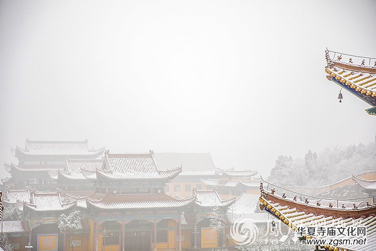 �������D��ѩ��Ĳ�ɽ���X�¸����f��(y��n)