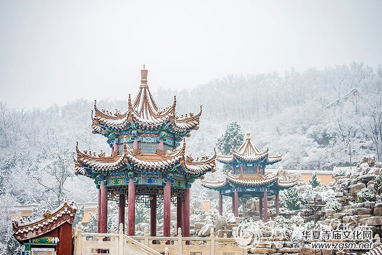 �������D��ѩ��Ĳ�ɽ���X�¸����f��(y��n)