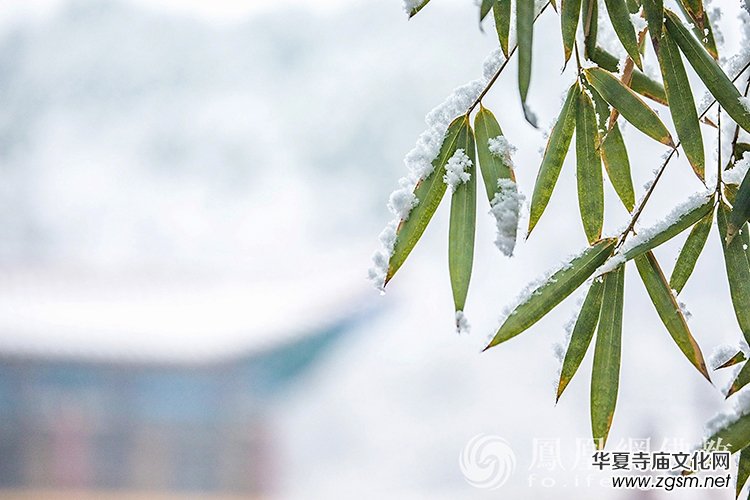 �������D��ѩ��Ĳ�ɽ���X�¸����f��(y��n)