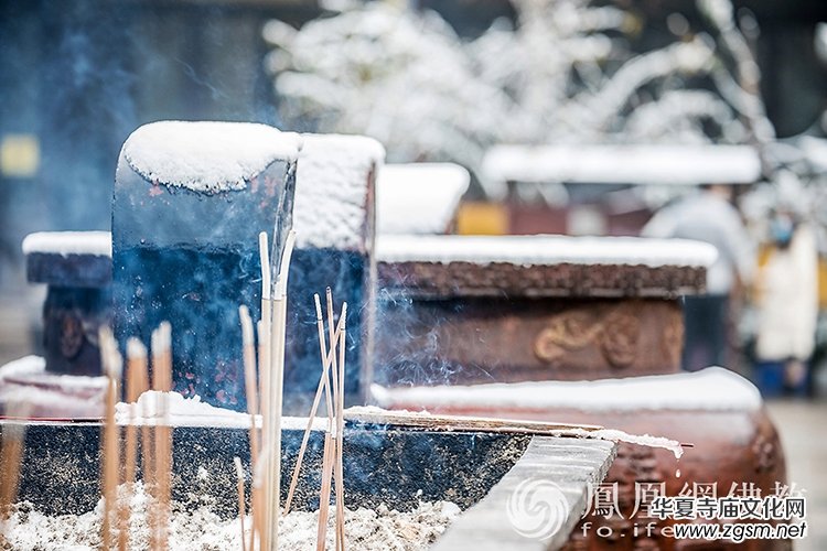 �������D��ѩ��Ĳ�ɽ���X�¸����f��(y��n)