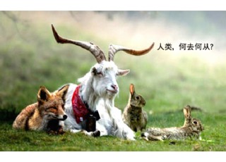 ��ʳ�Ļ�����������ķ����O(sh��)���á����а