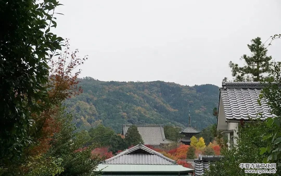 ��һ�������ڰβ����X���������_����һ�� | �þӹPӛ