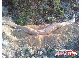 �o��4�װ�ɫ�����F(xi��n)�����_(t��i)�Ɖ�(m��ng)ɽ