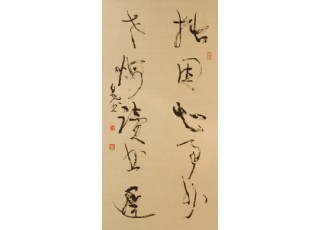 ���������Ұ׹�������Ʒ���p