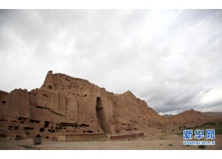 ���������דP(y��ng)���������ʹ�c��