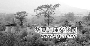 ƽɽ�f����ǧ�����֣�ÿ�K�uʯ���v�������ϵĂ��f