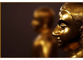 ���l(w��i)�s�����������͡��ĸ݆��ķ��