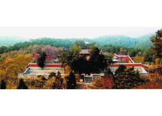 �����������(zh��n)��֮�����ڮ����ܿ�����؂�����ϵ�ë��(x��)Ѫ��