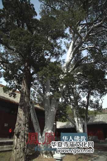 北京法海寺鎮(zhèn)寺之寶:壁畫(huà)上能看到狐貍耳朵上的毛細(xì)血管 北京法海寺鎮(zhèn)寺之寶:壁畫(huà)上能看到狐貍耳朵上的毛細(xì)血管