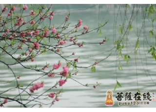 �Ł��������F�U��Ҋ�߼���ĶUԊ���p