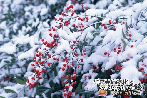 古來聞名的珍貴禪文 見者吉祥的禪詩欣賞 古來聞名的珍貴禪文 見者吉祥的禪詩欣賞