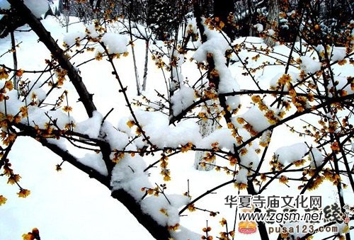 古來聞名的珍貴禪文 見者吉祥的禪詩欣賞 古來聞名的珍貴禪文 見者吉祥的禪詩欣賞