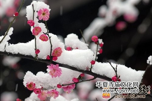 古來聞名的珍貴禪文 見者吉祥的禪詩欣賞 古來聞名的珍貴禪文 見者吉祥的禪詩欣賞